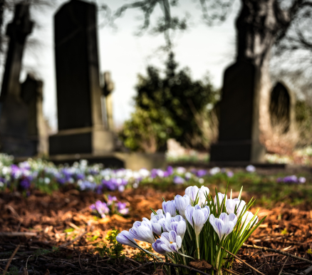 Cimetière avec fleurs