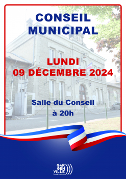 Affiche Conseil Municipal 24-12-09 agenda