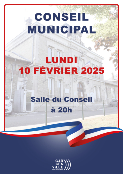 Affiche Conseil Municipal 25-02-10 agenda